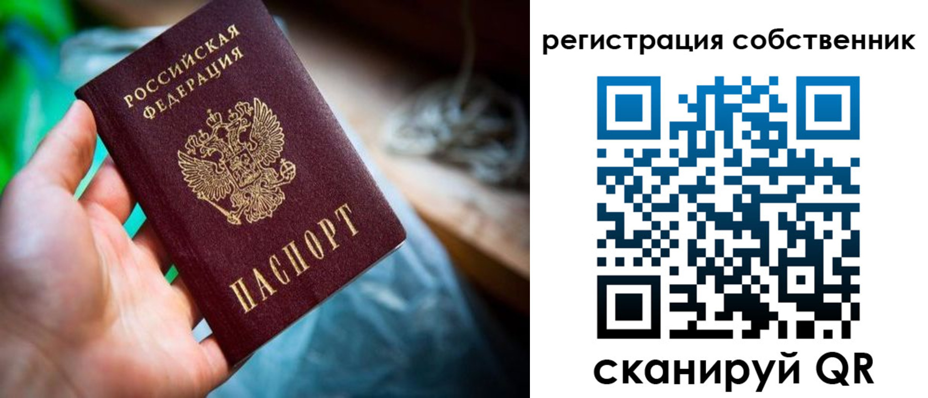 прописка гарантия в Белёве